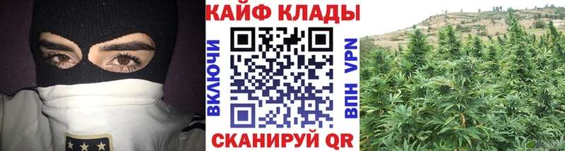 Бошки Шишки Алексеевка