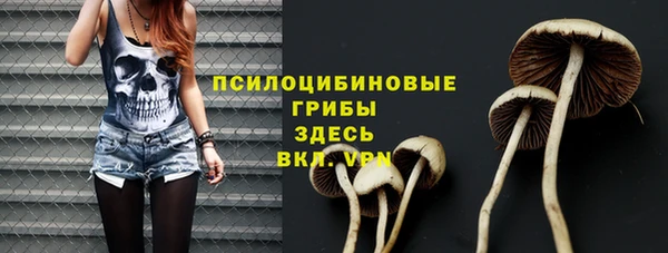 сатива Армянск