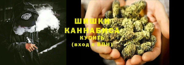 сатива Армянск