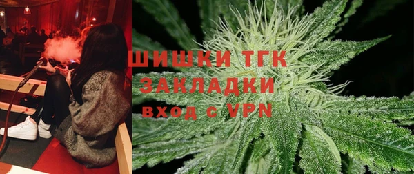 прущие грибы Аркадак