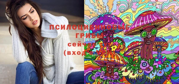 сатива Армянск