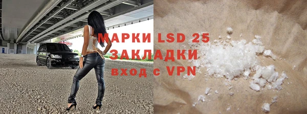 прущие грибы Аркадак