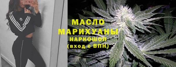 сатива Армянск
