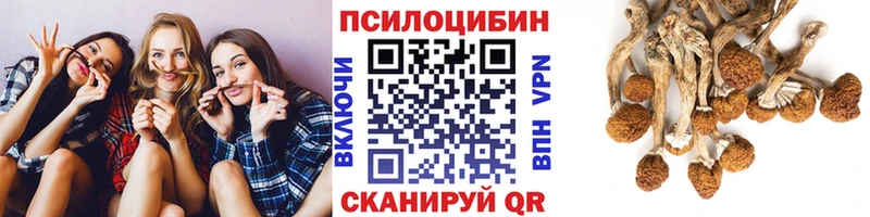 Галлюциногенные грибы прущие грибы  mega как войти  Алексеевка 